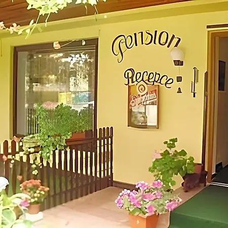 Hotel Vysehrad Cesky Krumlov